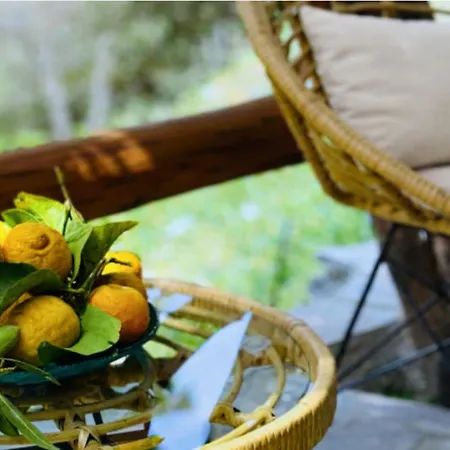 Garden Andros With Sea View & Pool Apartamento *